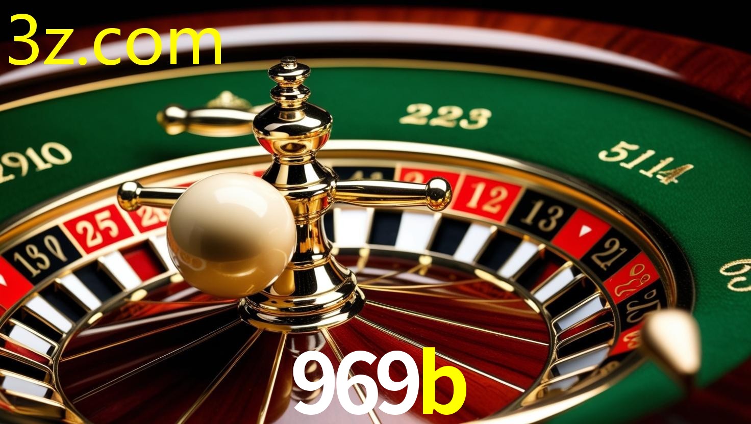 969B.COM